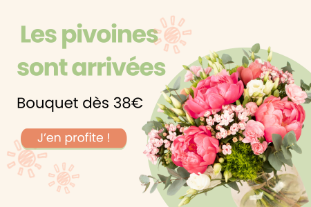 Pivoine