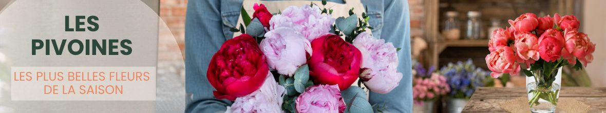 Les pivoines
