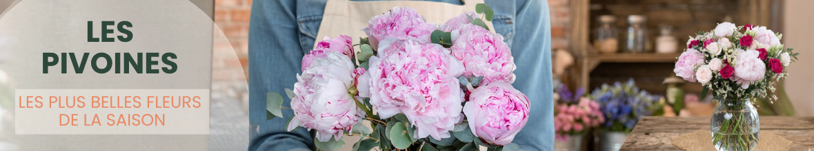 Les pivoines
