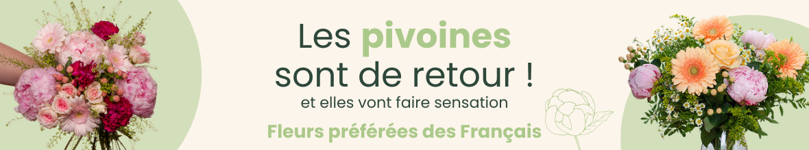 Les pivoines, la reine des fleurs