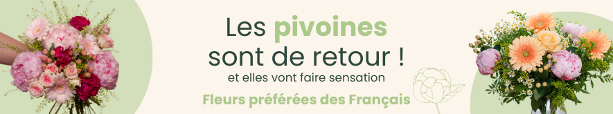 Les pivoines, la reine des fleurs