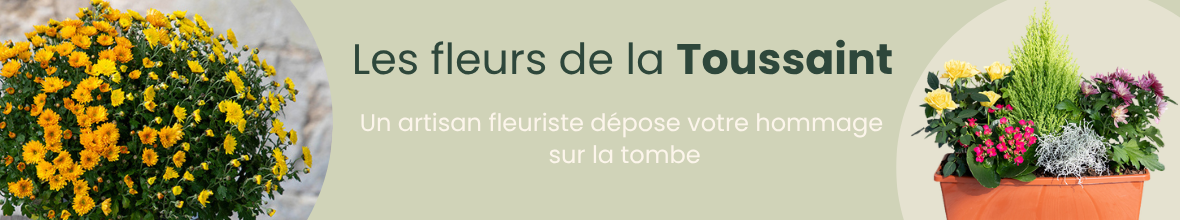 Les fleurs de la Toussaint