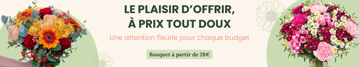 Nos bouquets à petits prix, pour chaque budget