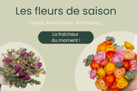 Découvrir le catalogue des tulipes