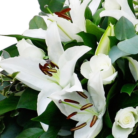 Commandez un Bouquet Pureté Lys & Love