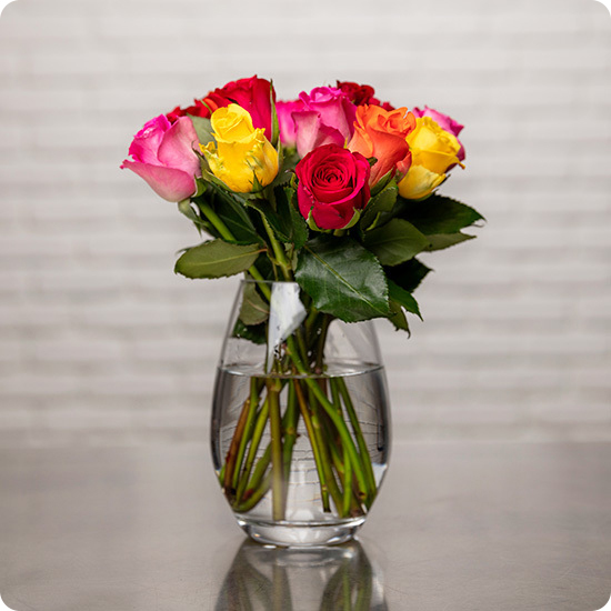 20 roses Arlequin + 30 Jonquilles