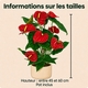 Anthurium rouge en pot décoratif avec feuillage vert