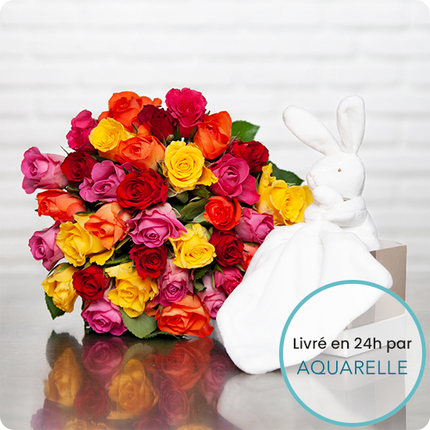Arlequin et doudou lapin