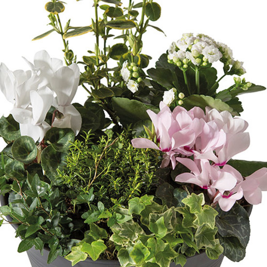 Arrangement deuil De Tout Coeur