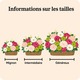 Arrangement Deuil Doux Sentiments