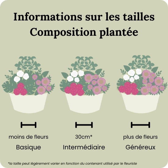 Arrangement de plantes Espérance