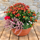 Flamme souvenir - arrangement d'extérieur