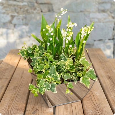 Livraison rapide le jour même partout en France, 7 jours sur 7, même les jours fériés.