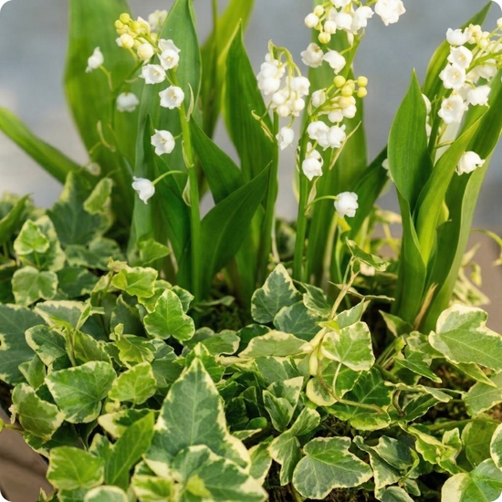 Livraison rapide le jour même partout en France, 7 jours sur 7, même les jours fériés.