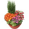 Arrangement de plantes pour deuil En paix