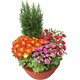 Arrangement de plantes pour deuil En paix