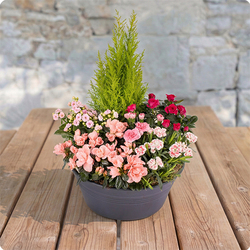 Bosquet – Coupe de plantes pour cimetière