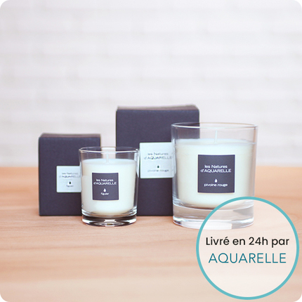 Bougie Figuier