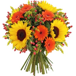 Les fleurs du fleuriste Bouquet 1,2,3, Soleil !