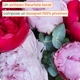 Bouquet 100% pivoines de saison