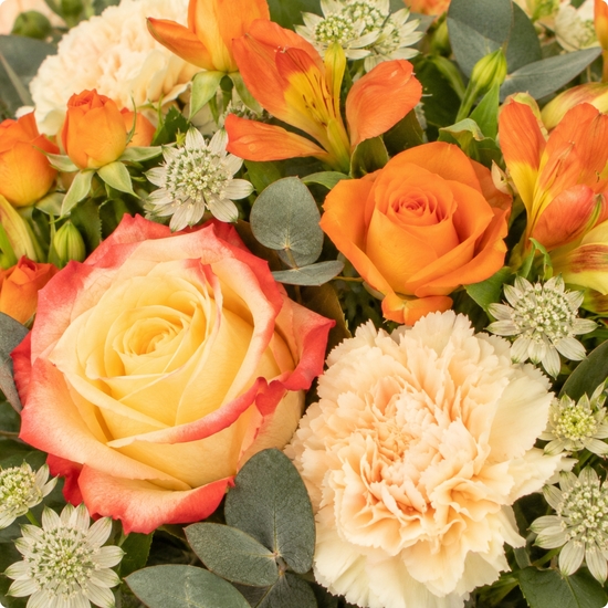 Bouquet Abricot