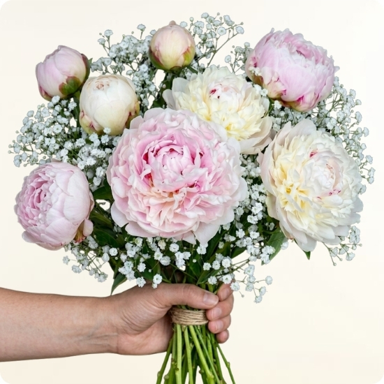 Bouquet Amour de Pivoines - Livraison express avec 123fleurs