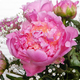 Bouquet de pivoines fushias Amour de pivoine