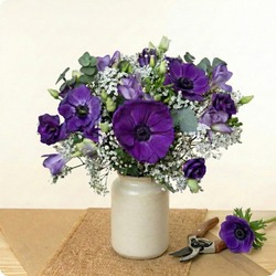 Craquez pour le Bouquet Anémones du Jour, une création florale délicate mettant en valeur la beauté naturelle de l’anémone violette.