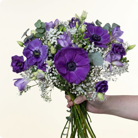 Craquez pour le Bouquet Anémones du Jour, une création florale délicate mettant en valeur la beauté naturelle de l’anémone violette.