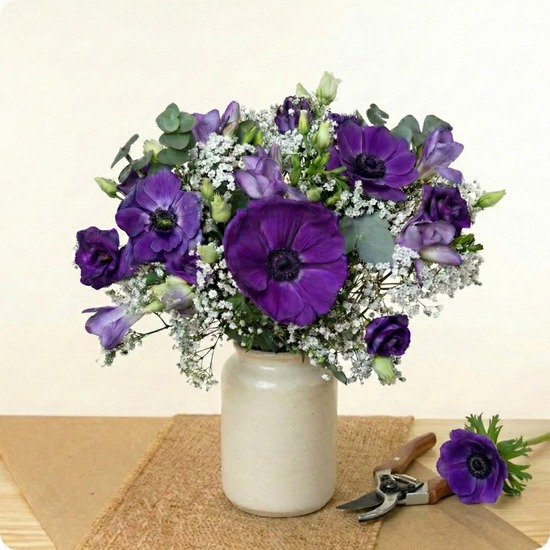 Bouquet Anémones du Jour - 123fleurs - Livraison aujourd’hui