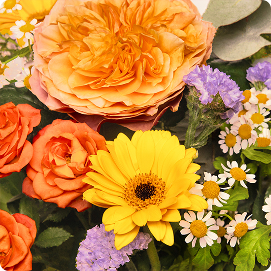 Bouquet Artifice - Une explosion de couleurs pour célébrer les plus belles occasions
