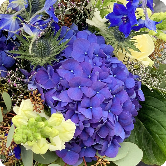 Bouquet astrologique eau