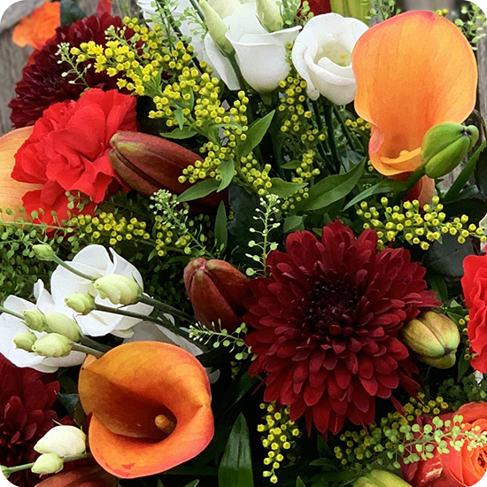 Bouquet astrologique feu