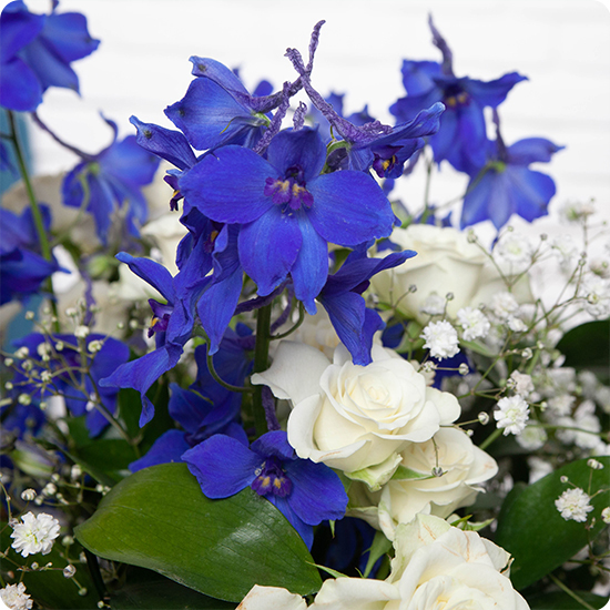 Bouquet de fleurs bleues Azur