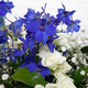 Bouquet avec fleurs bleues Azur