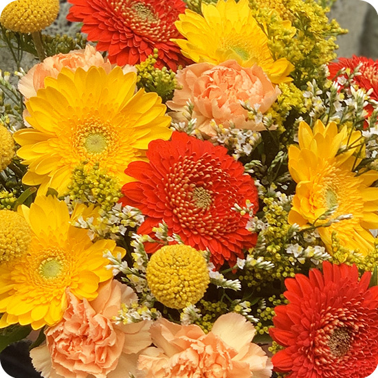bouquet baléares