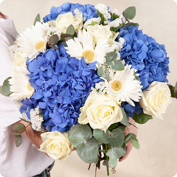 Bouquet avec hortensia bleu Bambino