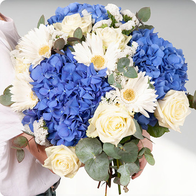 Bouquet avec hortensia bleu Bambino