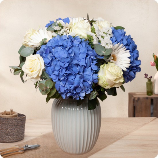 Bouquet avec hortensia bleu Bambino