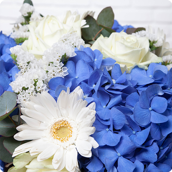 Bouquet avec hortensia bleu Bambino