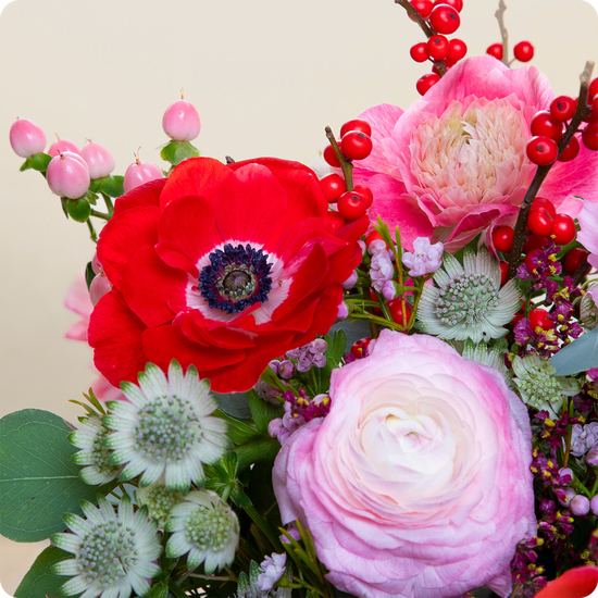 Craquez pour le Bouquet Beauté d’hiver signé 123fleurs. Une composition chaude et raffinée aux teintes rouges, roses et violettes. Livraison express aujourd’hui partout en France.