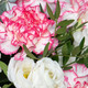 Bouquet Belle Journée composé d’œillets bicolores rose et blanc, fleurs fraîches en camaïeu doux