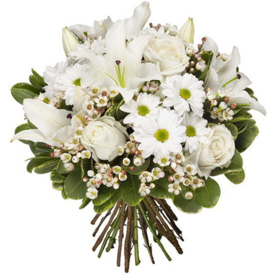 Blanc Elégant
