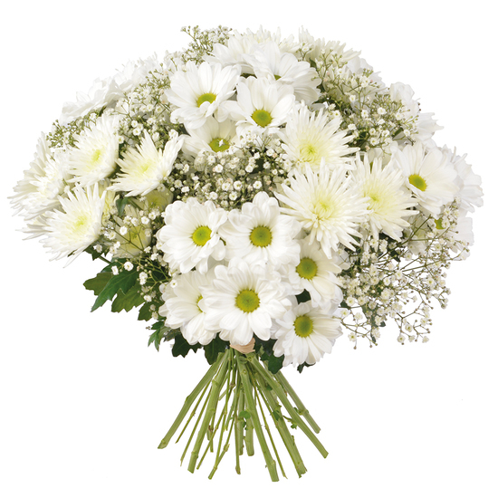 Bouquet blanc Pensée - Livraison de fleurs deuil | 123Fleurs