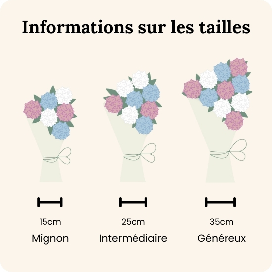 Bouquet Bonbon - Hortensias doux - Livraison avec 123fleurs