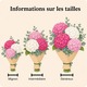 Image du Bouquet Bonbon composé de têtes d’hortensias roses et blancs, en vase.