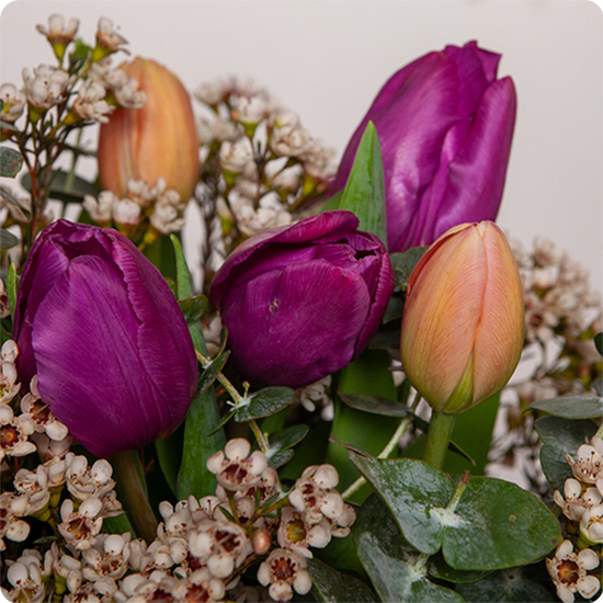Bouquet avec de la tulipe violette