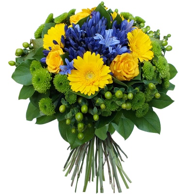 Envoyez le Bouquet Brasil