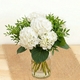 Bouquet Cachemire, hortensias blancs et feuillage frais, livraison 123fleurs