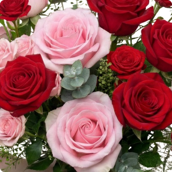 Bouquet Cadeau - Fleurs à offrir pour toutes occasions - Livraison avec 123fleurs